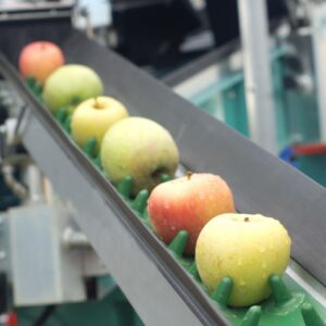 Fruit / Salad & Veg Equipment