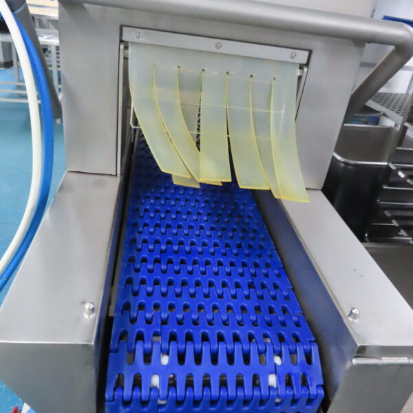 FOMACO FGM 32 SC INJECTOR year 2019 - Image 6